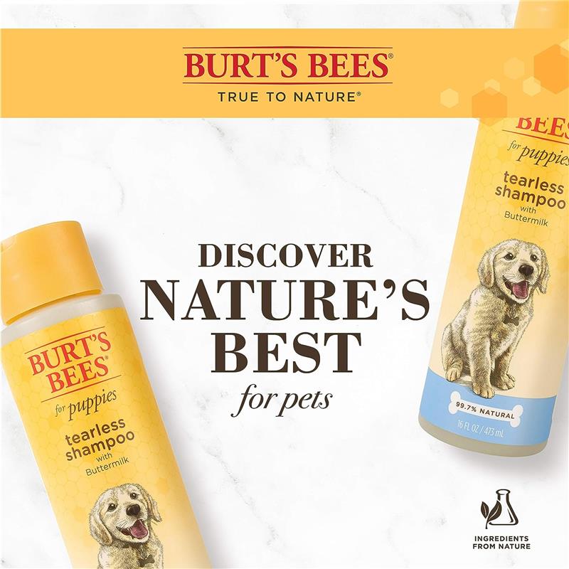 Burt's Bees for Pets Natural Tearless Puppy Shampoo with Buttermilk Image 6