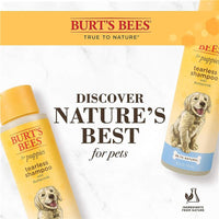 Thumbnail for Burt's Bees for Pets Natural Tearless Puppy Shampoo with Buttermilk Image 6