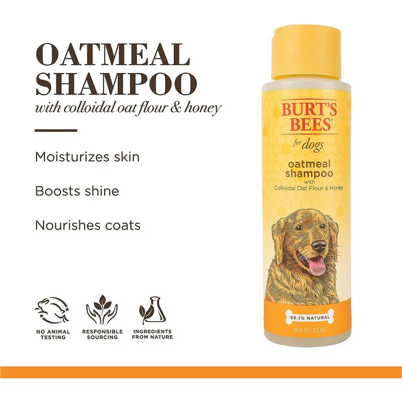 Burt's Bees Oatmeal Dog Shampoo with Colloidal Oat Flour and Honey Image 2