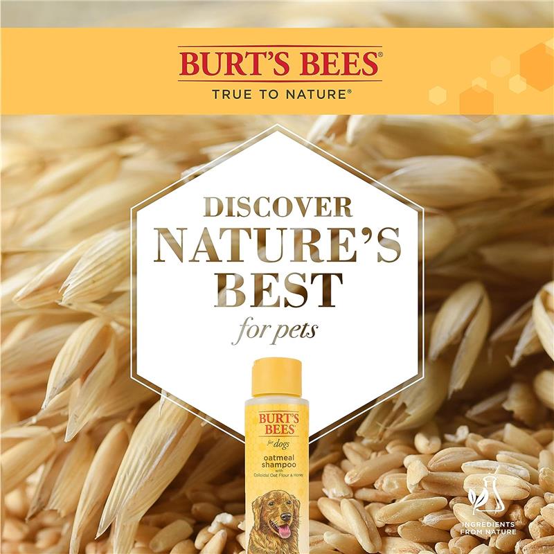 Burt's Bees Oatmeal Dog Shampoo with Colloidal Oat Flour and Honey Image 5