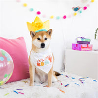 Thumbnail for Pearhead Happy Barkday Dog bandana and hat set M/L Image 4