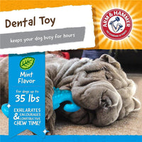 Thumbnail for Arm & Hammer Nubbies Gator Dental Toy for Dogs, Mint Flavor Image 2