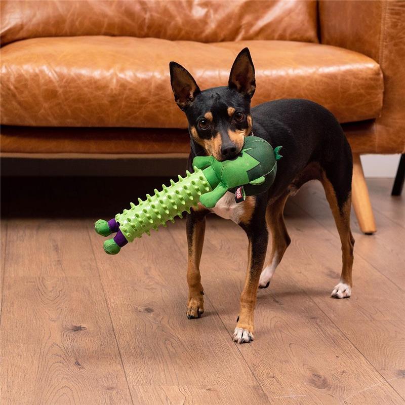 Dog Teethers Avengers Hulk Image 6