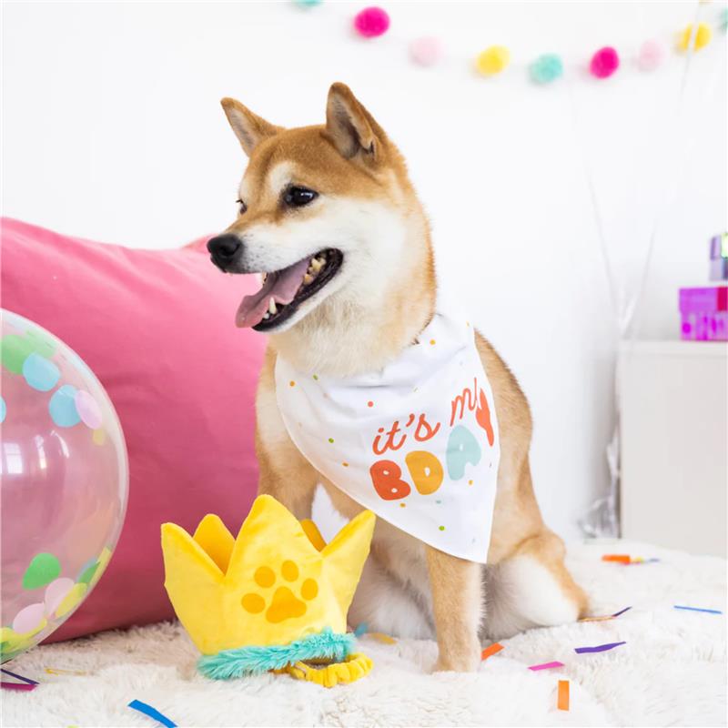 Pearhead Happy Barkday Dog bandana and hat set M/L Image 3