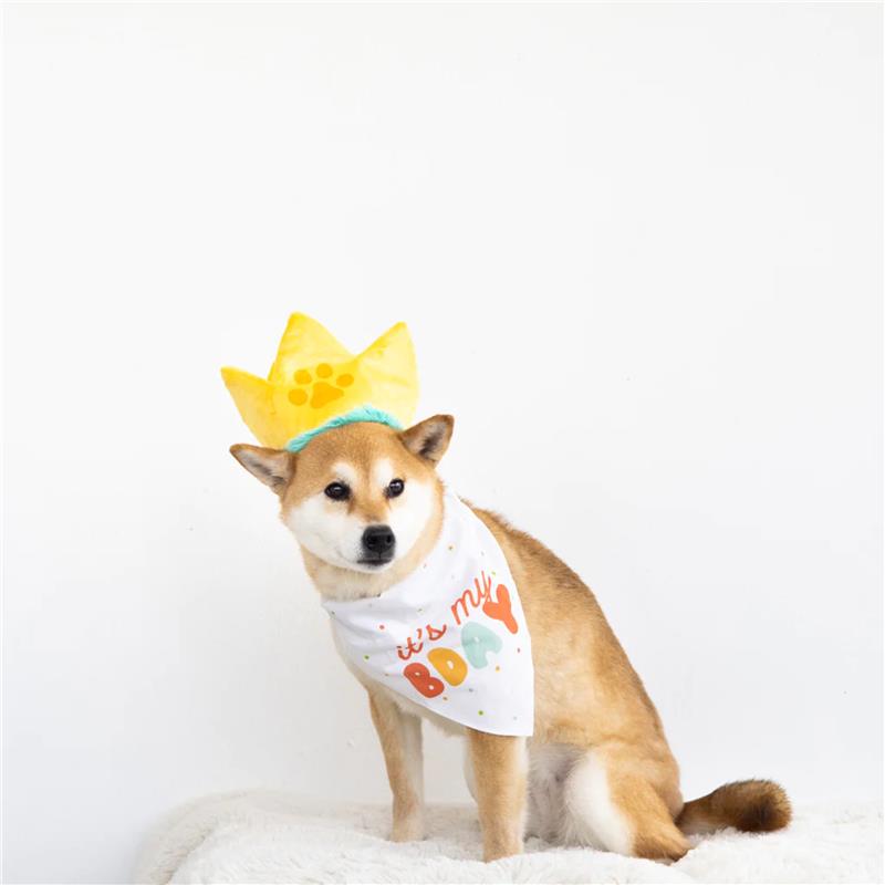 Pearhead Happy Barkday Dog bandana and hat set M/L Image 5