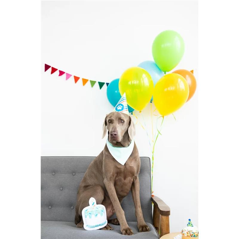 Pearhead Pet Birthday Pawty Kit Includes Toy, Party Hat and Party Bandana Image 7