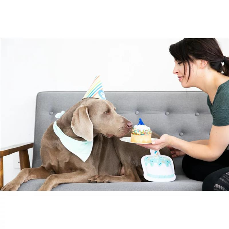 Pearhead Pet Birthday Pawty Kit Includes Toy, Party Hat and Party Bandana Image 9